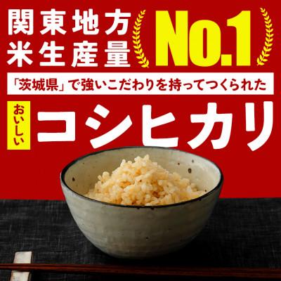 ふるさと納税 笠間市 【毎月定期便】笠間産 コシヒカリ 10kg 精米全3回
