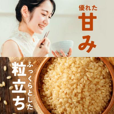 ふるさと納税 笠間市 【毎月定期便】笠間産 コシヒカリ 10kg 精米全3回