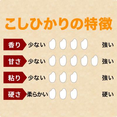 ふるさと納税 笠間市 【毎月定期便】笠間産 コシヒカリ 10kg 精米全3回
