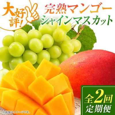 ふるさと納税 小林市 [発送月固定定期便]宮崎県の旬をお届け 完熟マンゴー・シャインマスカット(小林市)全2回