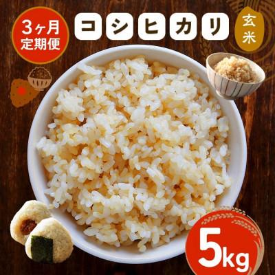 ふるさと納税 笠間市 [毎月定期便][玄米]笠間産 コシヒカリ 5kg全3回