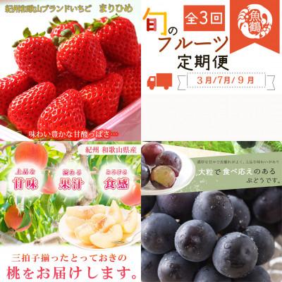 ふるさと納税 九度山町 [発送月固定定期便]紀州和歌山産旬のフルーツセット(いちご・桃・ピオーネ)全3回