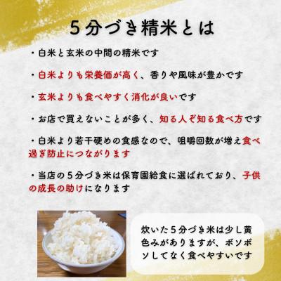 ふるさと納税 盛岡市 【毎月定期便】5分づき米 銀河のしずく5kg 盛岡産☆発送当日精米☆全3回