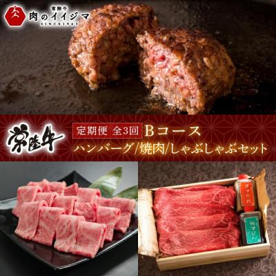 ふるさと納税 水戸市 [毎月定期便]常陸牛 定期便Bコース ハンバーグ 焼肉 しゃぶしゃぶ セット全3回