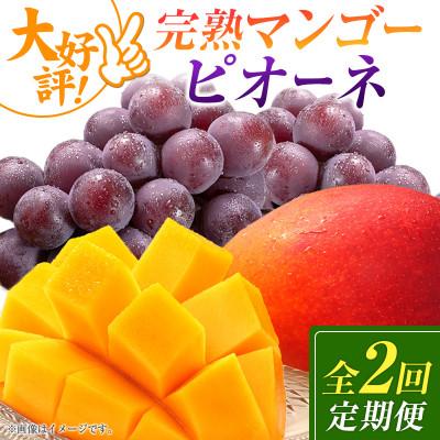 ふるさと納税 小林市 [発送月固定定期便]宮崎県の旬をお届け 完熟マンゴー・ピオーネ(小林市)全2回