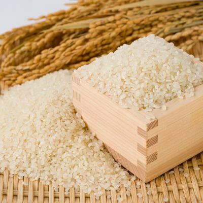 ふるさと納税 智頭町 【毎月定期便】【食味鑑定士厳選】鳥取県産