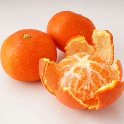 ふるさと納税 東かがわ市 [発送月固定定期便]東かがわ市 フルーツと野菜定期便全7回