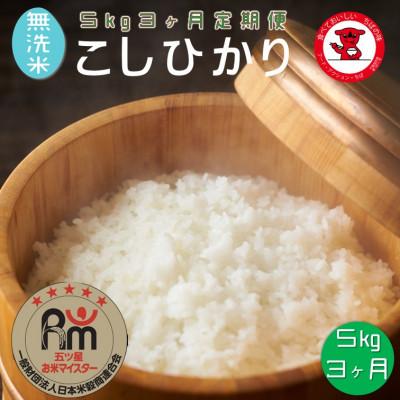 ふるさと納税 銚子市 [毎月定期便][無洗米]千葉県産コシヒカリ 5kg全3回