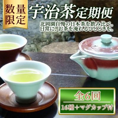 ふるさと納税 宇治市 [毎月定期便][数量限定]北岡園おすすめセット(16種+マグカップ付)全6回