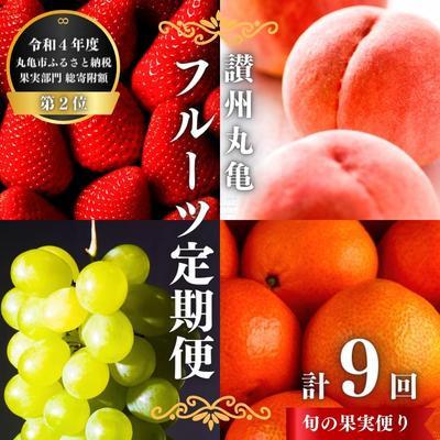 ふるさと納税 丸亀市 [発送月固定定期便]フルーツ 定期便 9回 丸亀のフルーツ 旬のお届け 香川県 丸亀市全9回
