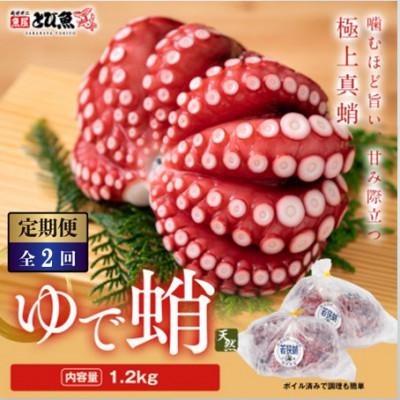 ふるさと納税 若狭町 [毎月定期便]茹でまだこ 福井県産 1.2Kg (2〜3杯)全2回