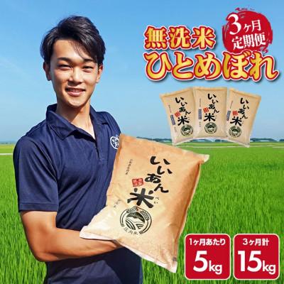 ふるさと納税 酒田市 [毎月定期便]ひとめぼれ 無洗米「いいあん米」5kg 山形県庄内産全3回