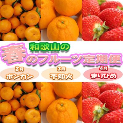 ふるさと納税 那智勝浦町 [発送月固定定期便]和歌山の春のフルーツ(ポンカン・不知火・まりひめ)全3回