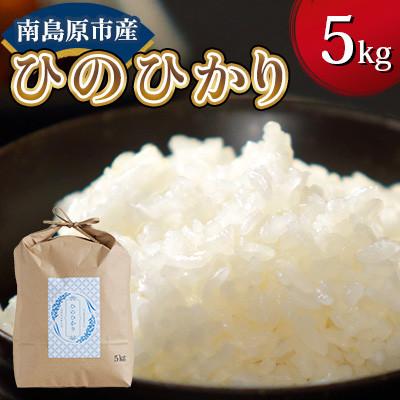 ふるさと納税 南島原市 [毎月定期便][南島原市産]ひのひかり5kg 林田米穀店全3回