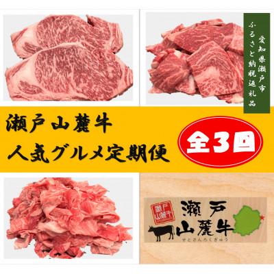 ふるさと納税 瀬戸市 [毎月定期便]瀬戸山麓牛人気グルメ定期便全3回