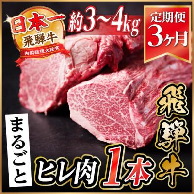 ふるさと納税 羽島市 [毎月定期便]飛騨牛 ヒレ1本(約3〜4kg)[シャトーブリアン&amp;ヒレ]冷蔵便 ステーキ全3回