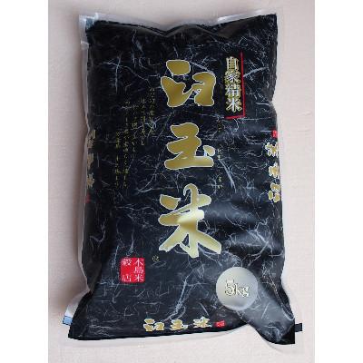 ふるさと納税 糸魚川市 [毎月定期便]新潟県産こしいぶき『臼玉米』5kg全3回