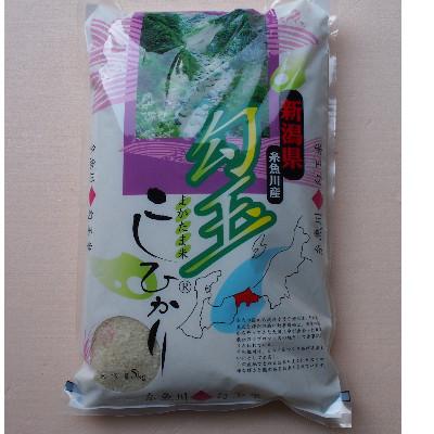 ふるさと納税 糸魚川市 [毎月定期便]新潟県産コシヒカリ『勾玉米』5kg全3回