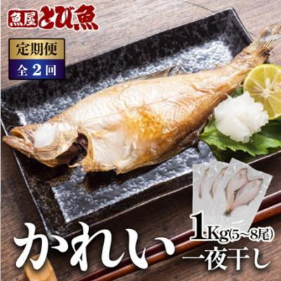 ふるさと納税 若狭町 [毎月定期便]かれい一夜干し 1Kg(5〜8尾)全2回