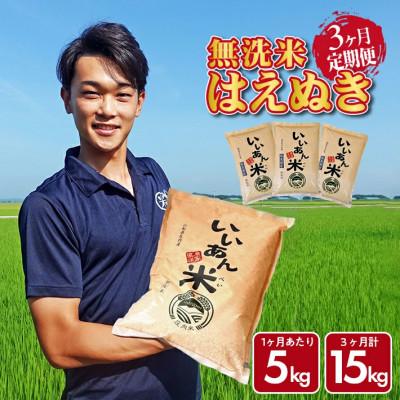 ふるさと納税 酒田市 [毎月定期便]はえぬき無洗米『いいあん米』5kg×3ヶ月連続 計15kg全3回