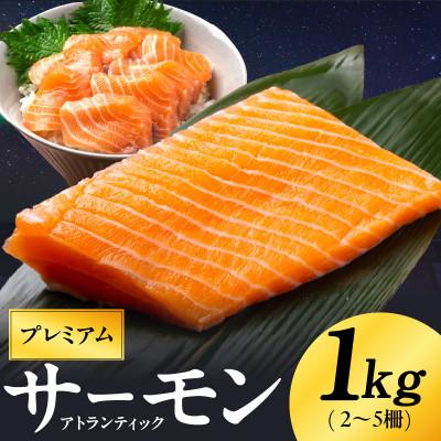 ふるさと納税 泉佐野市 [毎月定期便]ノルウェー産 プレミアム アトランティックサーモン 1kg 全2回