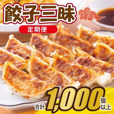 ふるさと納税 泉佐野市 [毎月定期便][合計1000個以上]餃子三昧 自家製 薄皮 手作り 全12回