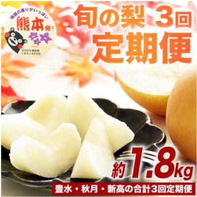 ふるさと納税 山鹿市 [発送月固定定期便]旬の梨 約1.8kg(計5.4kg) 豊水・秋月・新高(山鹿市)全3回