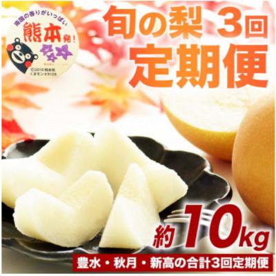 ふるさと納税 山鹿市 [発送月固定定期便]旬の梨 約10kg(計30kg) 豊水・秋月・新高(山鹿市)全3回