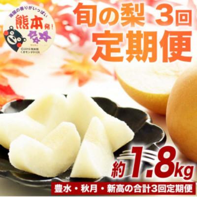 ふるさと納税 荒尾市 [発送月固定定期便]旬の梨 約1.8kg(計5.4kg) 豊水・秋月・新高(荒尾市)全3回