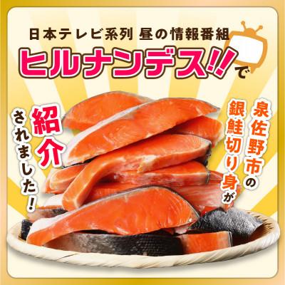 ふるさと納税 泉佐野市 【毎月定期便】銀鮭切り身 総量2kg 訳あり サイズ不揃い 全6回 kgpZ015_1