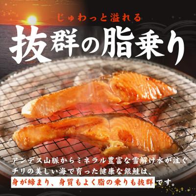ふるさと納税 泉佐野市 【毎月定期便】銀鮭切り身 総量2kg 訳あり サイズ不揃い 全6回 kgpZ015_2