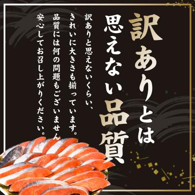 ふるさと納税 泉佐野市 【毎月定期便】厚切り 銀鮭 切り身 総量2kg 訳あり サイズ不揃い 全6回 kgpZ017_3