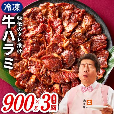 ふるさと納税 泉佐野市 [毎月定期便]牛ハラミ肉 900g 小分け 秘伝の赤タレ 味付き 焼肉 訳あり 全3回099