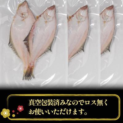 ふるさと納税 若狭町 【2ヵ月毎定期便】かれい一夜干し 1Kg(5〜8尾)全6回_1