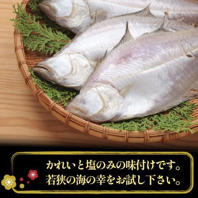 ふるさと納税 若狭町 【2ヵ月毎定期便】かれい一夜干し 1Kg(5〜8尾)全6回_2