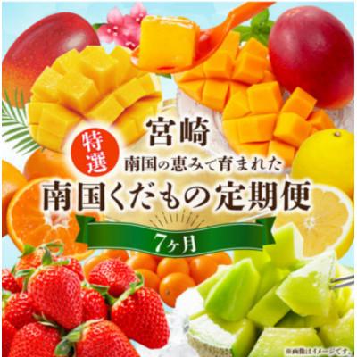 ふるさと納税 宮崎市 [発送月固定定期便]特選南国くだもの定期便[Y50]全7回