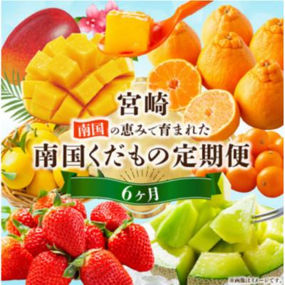 ふるさと納税 宮崎市 [発送月固定定期便]南国くだもの定期便[Y52]全6回