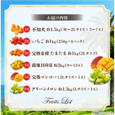ふるさと納税 宮崎市 【発送月固定定期便】南国くだもの定期便【Y52】全6回 |  | 01