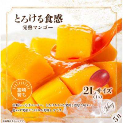ふるさと納税 宮崎市 【発送月固定定期便】南国くだもの定期便【Y52】全6回 |  | 02