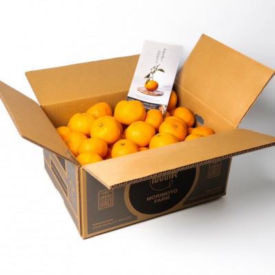 ふるさと納税 九度山町 [発送月固定定期便]家庭用みかん定期便 1.5kg 10月〜1月まで期間限定全4回