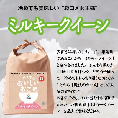 ふるさと納税 稲敷市 【毎月定期便】ミルキークイーン精米 10kg(5kg×2袋)全3回の画像