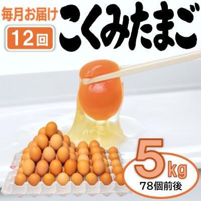 ふるさと納税 浅川町 [毎月定期便]こくみたまご 5kg入 (78個前後) 全12回