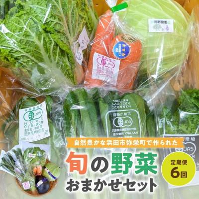ふるさと納税 浜田市 [2ヵ月毎定期便]弥栄町産野菜のおまかせセット全6回