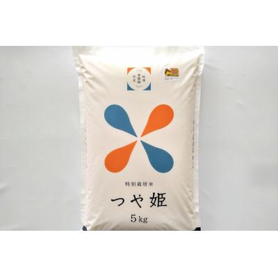 ふるさと納税 浜田市 [毎月定期便]浜田市弥栄町産の美味しいお米「秘境奥島根弥栄」つや姫栽培期間中農薬5割減 5kg全6回