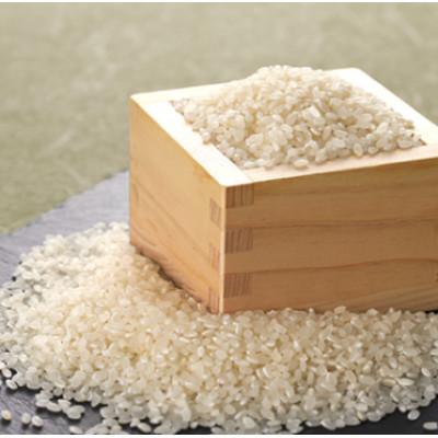 ふるさと納税 稲敷市 【毎月定期便】茨城県稲敷市産ミルキークイーン10kg(5kg×2) 全3回の画像