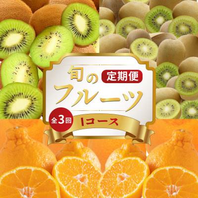 ふるさと納税 丸亀市 [発送月固定定期便]フルーツ定期便 Iコース(香緑キウイ キウイっこ デコポン)全3回