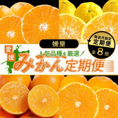 ふるさと納税 八幡浜市 [発送月固定定期便][媛皇]愛媛県八幡浜産 高級みかん・柑橘定期便[H25-394]全8回
