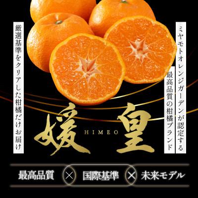 ふるさと納税 八幡浜市 【発送月固定定期便】【媛皇】愛媛県八幡浜産 高級みかん・柑橘定期便【H25-394】全8回 |  | 01