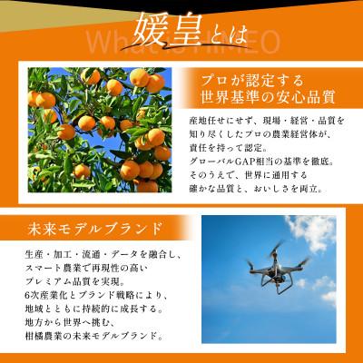 ふるさと納税 八幡浜市 【発送月固定定期便】【媛皇】愛媛県八幡浜産 高級みかん・柑橘定期便【H25-394】全8回 |  | 02