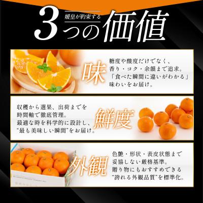 ふるさと納税 八幡浜市 【発送月固定定期便】【媛皇】愛媛県八幡浜産 高級みかん・柑橘定期便【H25-394】全8回 |  | 03
